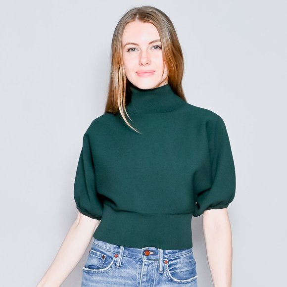 Babaton Aritzia Liana Puffsleeve 
